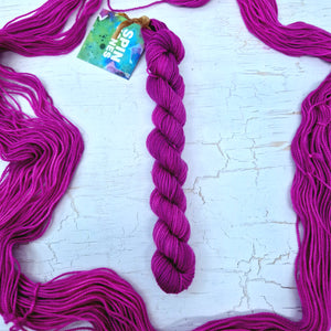 Campervan & Berry - SOCK YARN DUO - SW Falkland Merino & Nylon
