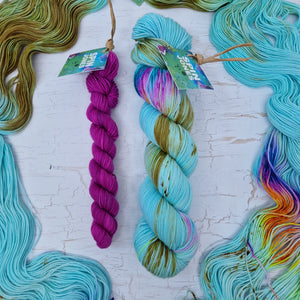 Campervan & Berry - SOCK YARN DUO - SW Falkland Merino & Nylon